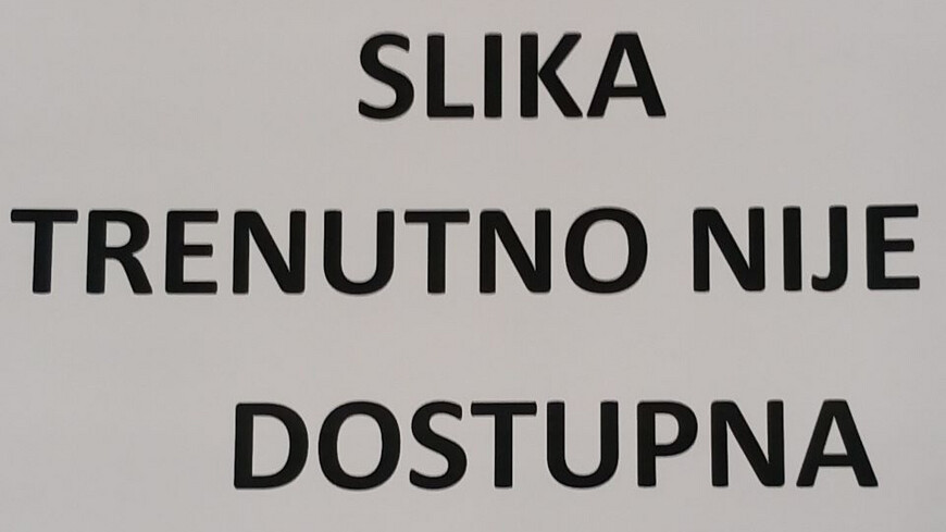 WesternSecurity Modul relejni Rasprodaja