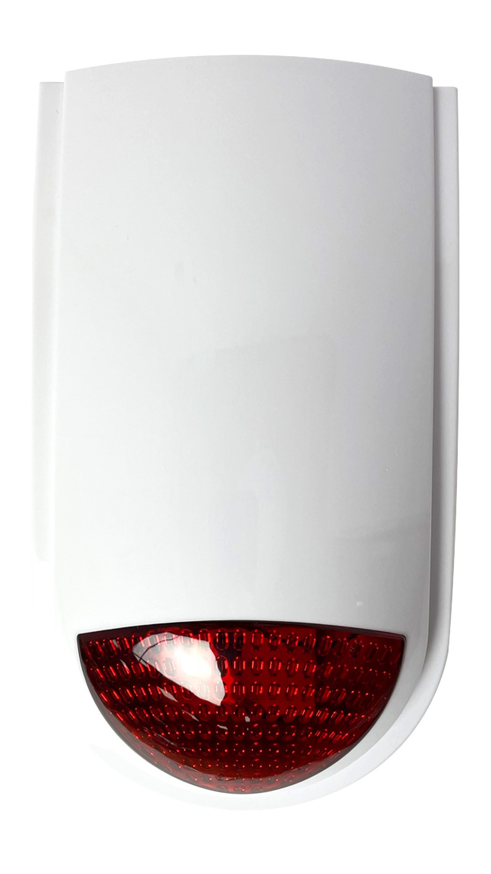 WesternSecurity WS-405
