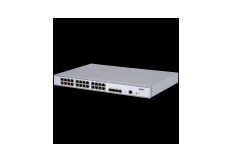 Dahua SG5028X switch